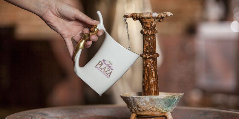 2048-1365-max-6 Detox package